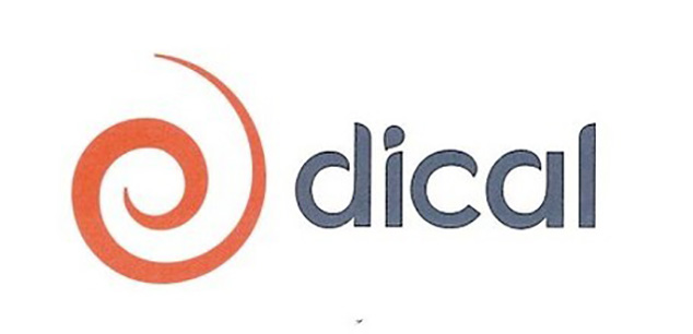 Distribucion de Papel Castilla y Leon S.A.